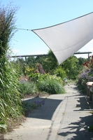 voile ombrage jardin